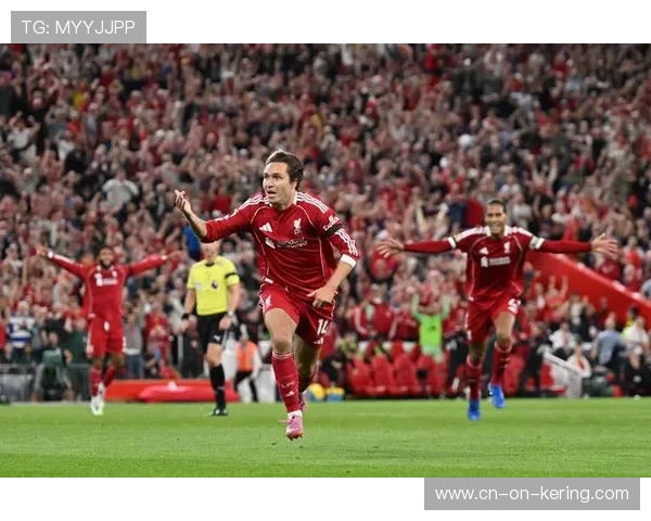 英超俱乐部社区项目获认可，足球社会价值受重视